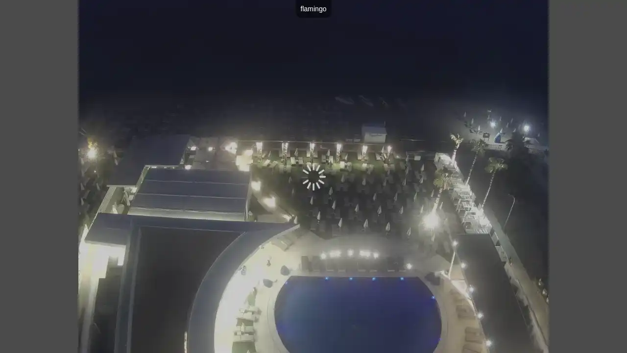 Ujęcie z kamery :city — 8 czerwca 2026 19:00