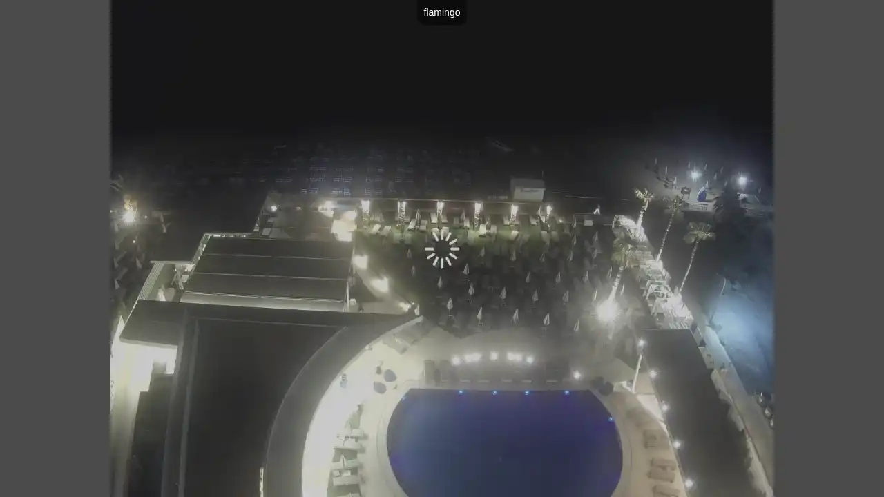 Ujęcie z kamery :city — 10 czerwca 2026 19:00