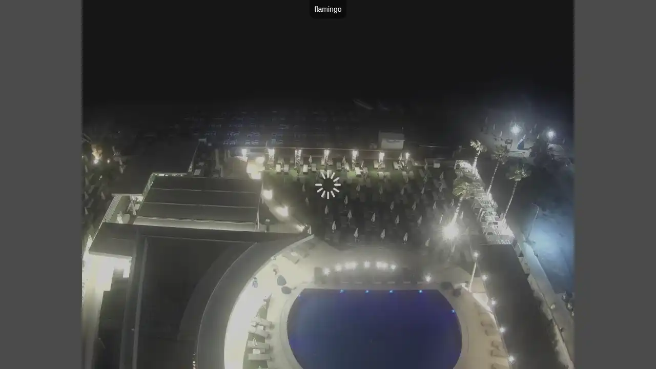 Ujęcie z kamery :city — 18 czerwca 2026 19:00