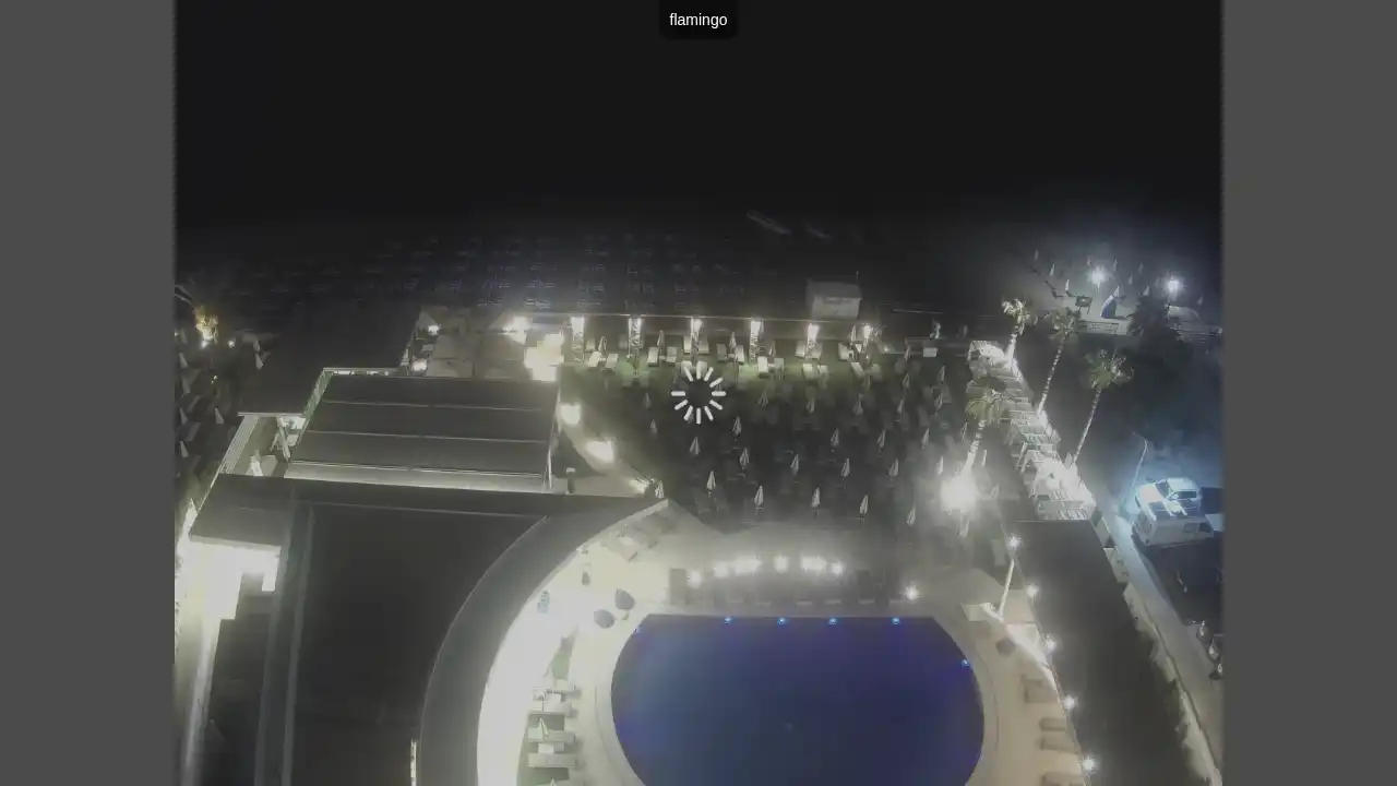 Ujęcie z kamery :city — 20 czerwca 2026 19:00