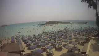 Miniatura 2026-08-25 09:00
