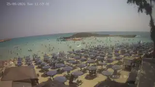 Miniatura 2026-08-25 10:00