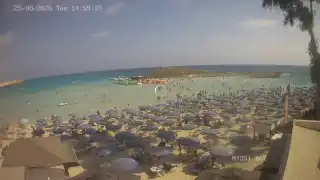 Miniatura 2026-08-25 13:00
