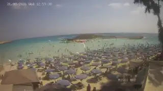 Miniatura 2026-08-26 11:00