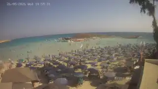 Miniatura 2026-08-26 13:00
