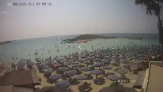 Miniatura 2026-08-28 08:00