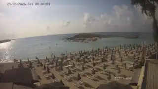 Miniatura 2026-08-29 06:00