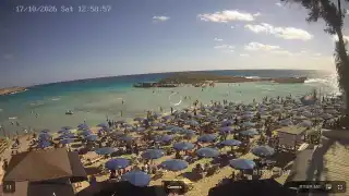 Miniatura 2026-10-17 11:00