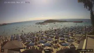 Miniatura 2026-10-19 08:00