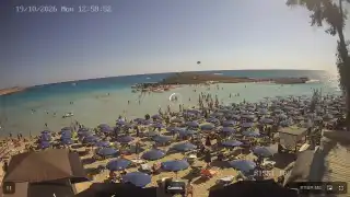 Miniatura 2026-10-19 11:00