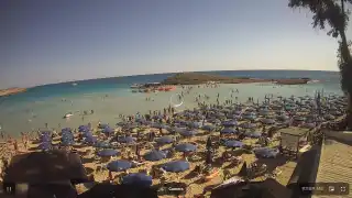 Miniatura 2026-10-19 12:00